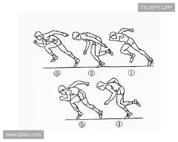 西安羽毛球队战术解析与训练策略探讨助力竞技水平提升